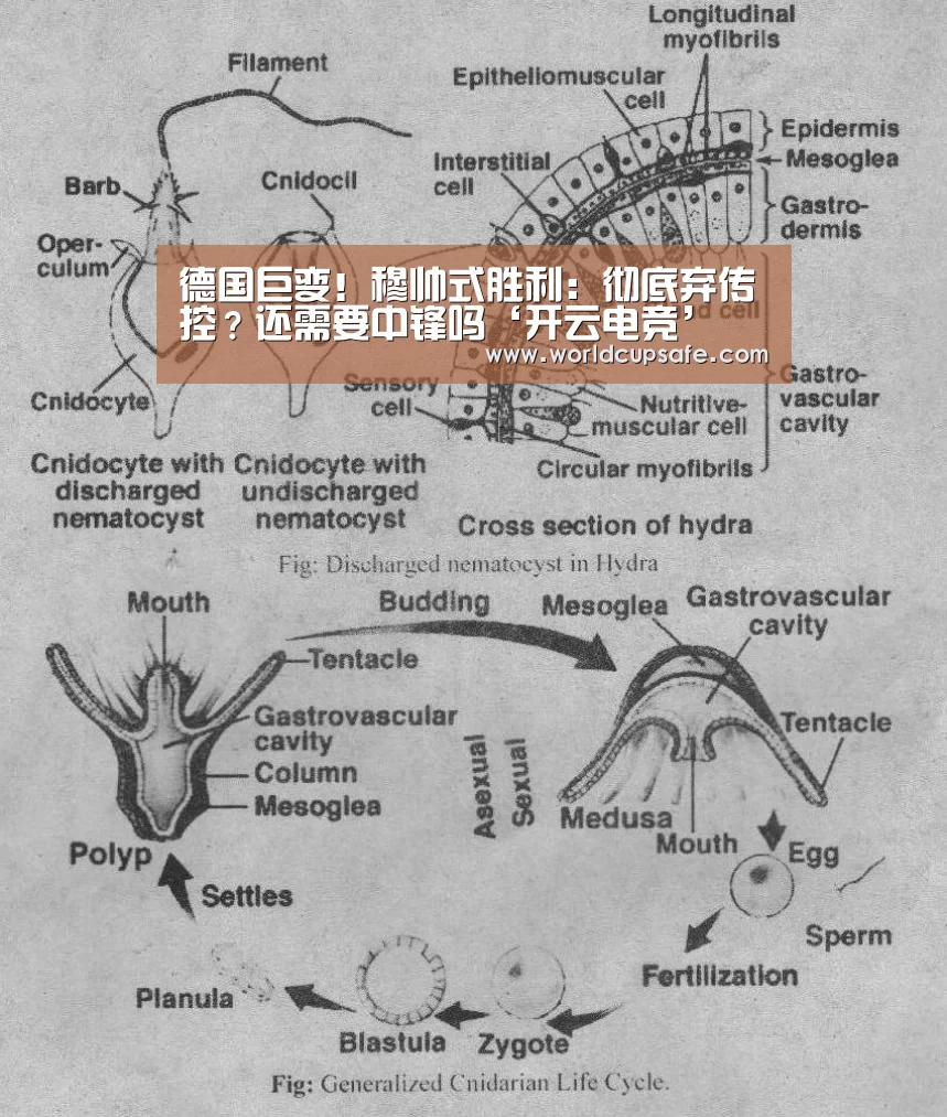 德国巨变!穆帅式胜利:彻底弃传控?还需要中锋吗‘开云电竞’(图2) 开云电竞官网