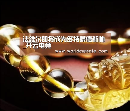 法维尔即将成为多特蒙德新帅_开云电竞(图2) 电竞官网