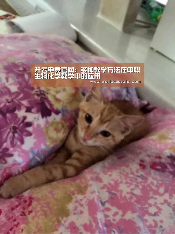 开云电竞官网：多种教学方法在中职生物化学教学中的应用