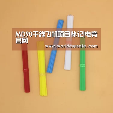 MD90干线飞机项目补记|电竞官网