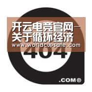 开云电竞官网-关于循环经济的研究