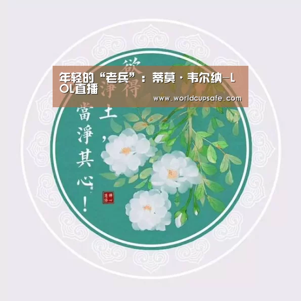 年轻的“老兵”：蒂莫·韦尔纳-LOL直播
