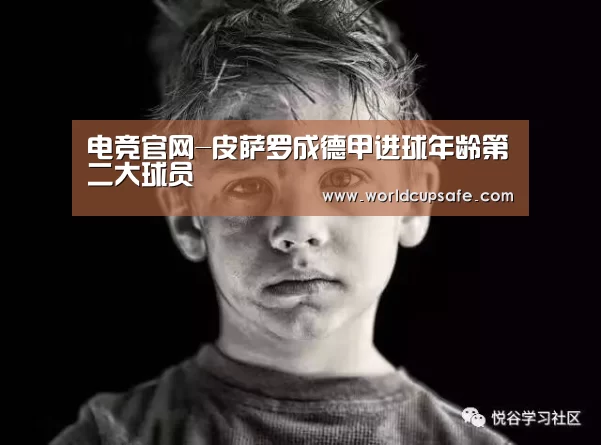 开云电竞官网