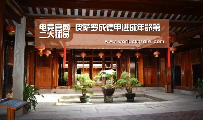 电竞官网-皮萨罗成德甲进球年龄第二大球员