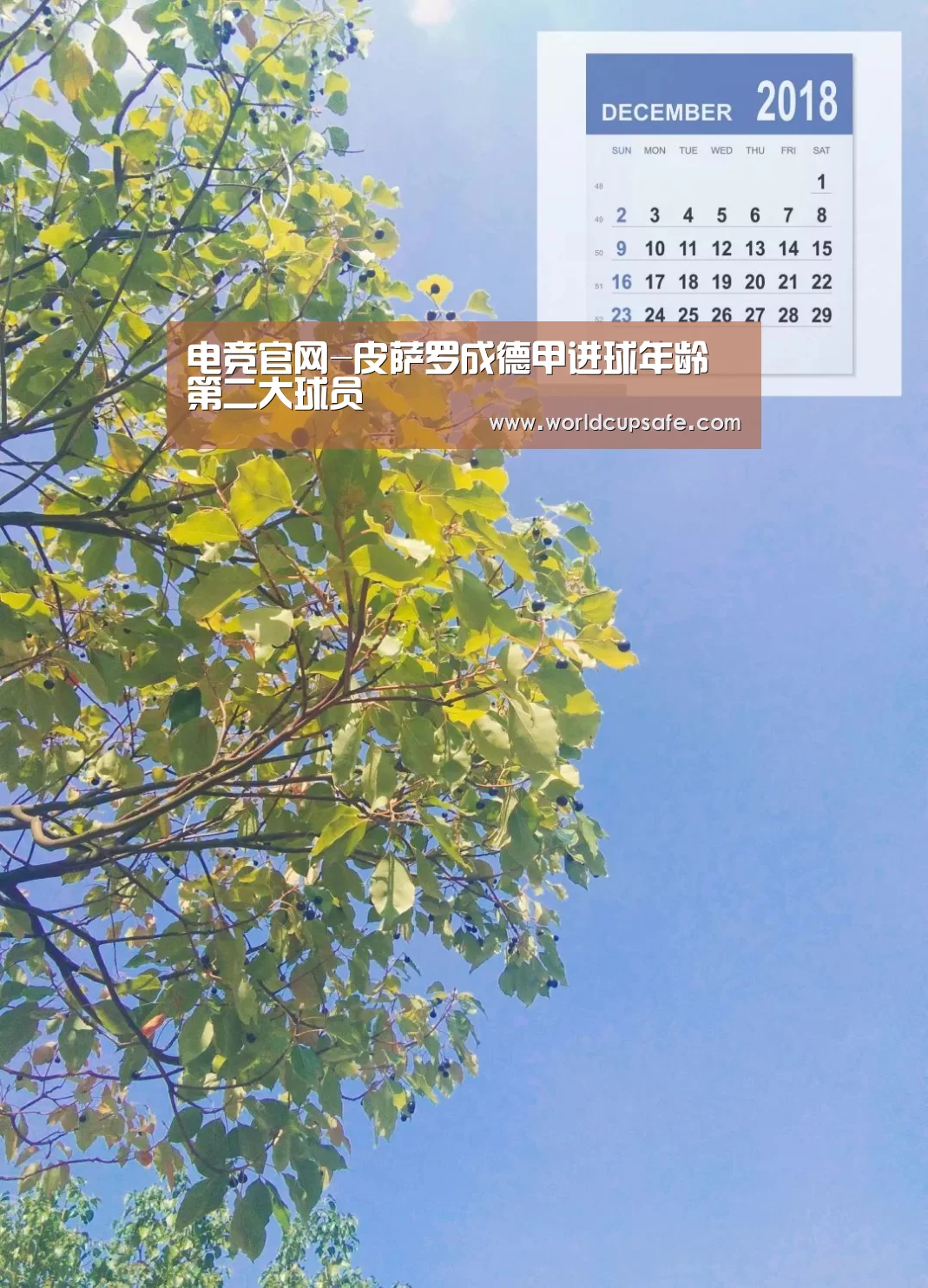 LOL直播