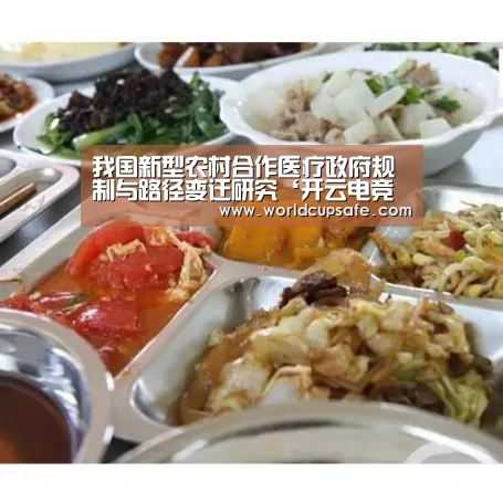 我国新型农村合作医疗政府规制与路径变迁研究‘开云电竞官网’