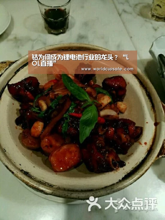 钴为何成为锂电池行业的龙头？“LOL直播”