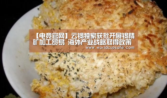 【电竞官网】云锡独家获批开展锡精矿加工贸易 海外产业战略取得政策新突破