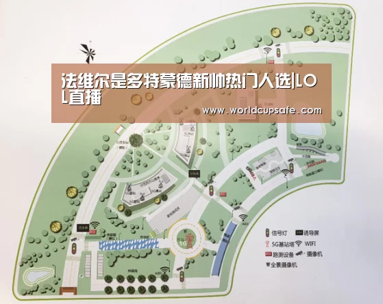 开云电竞官网