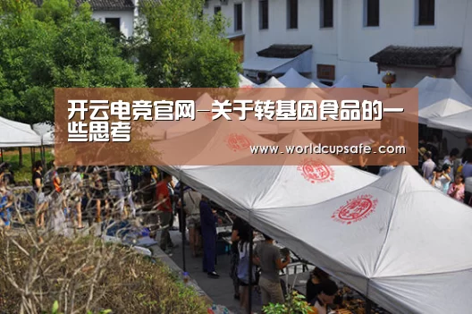 开云电竞官网