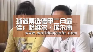 开云电竞