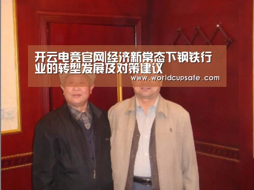 开云电竞官网|经济新常态下钢铁行业的转型发展及对策建议