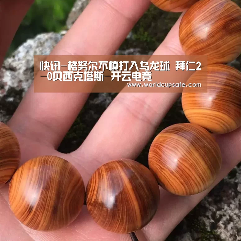 开云电竞官网