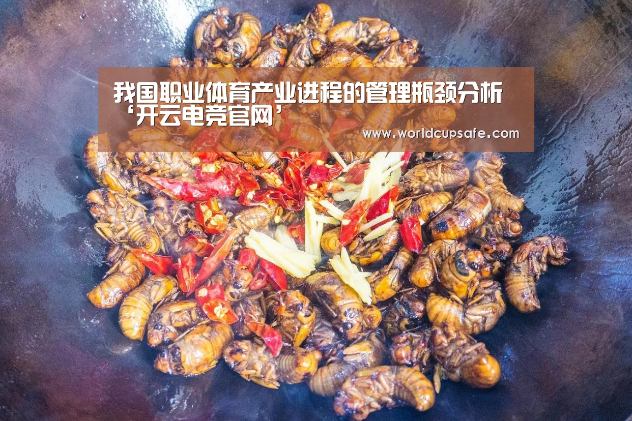 我国职业体育产业进程的管理瓶颈分析‘开云电竞官网’