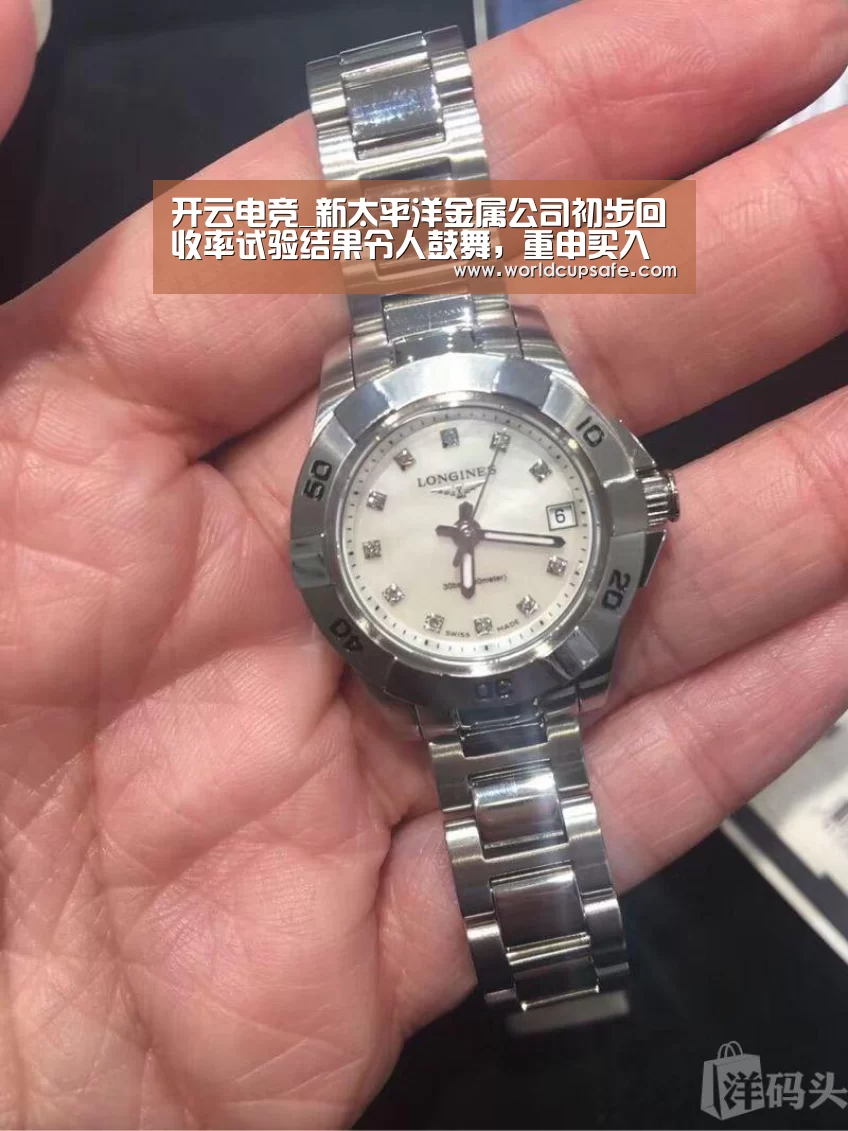 开云电竞_新太平洋金属公司初步回收率试验结果令人鼓舞，重申买入评级