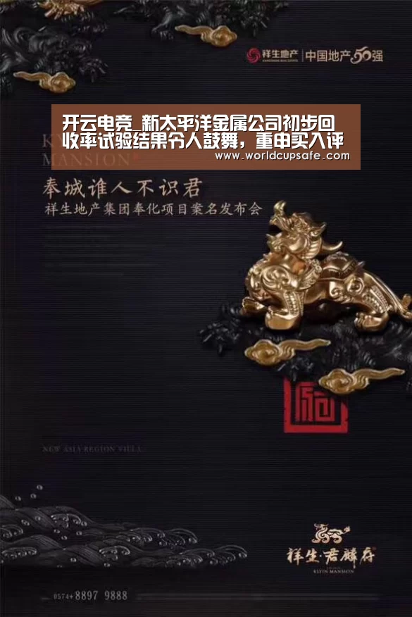 开云电竞