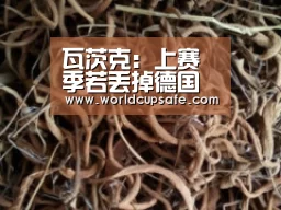 瓦茨克：上赛季若丢掉德国杯，我早就辞职了-LOL直播