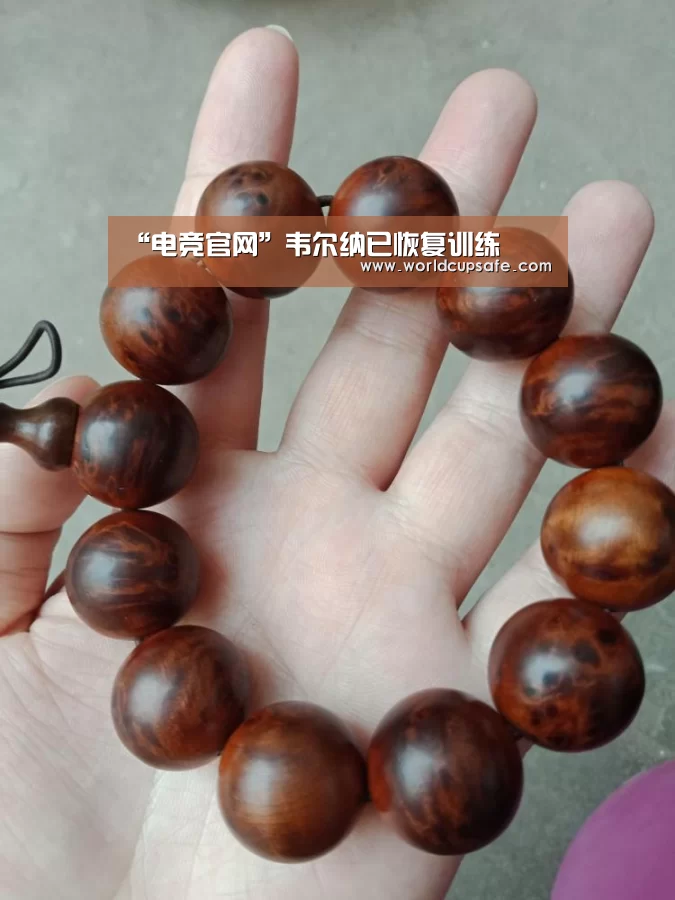 “电竞官网”韦尔纳已恢复训练